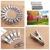 Stainless Steel Clothes Clips, Clothes pegs 4