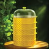 5-Layer Food Cover & Storage Tray 1
