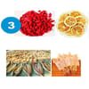 Foldable 4 Layer Multifunctional Food Drying Case 3