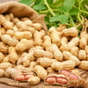 ফ্রেশ দেশি কাঁচা বাদাম | Premium Raw Peanuts | উচ্চমানের কৃষকের সরাসরি সংগ্রহ 2