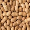 ফ্রেশ দেশি কাঁচা বাদাম | Premium Raw Peanuts | উচ্চমানের কৃষকের সরাসরি সংগ্রহ 3
