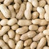 ফ্রেশ দেশি কাঁচা বাদাম | Premium Raw Peanuts | উচ্চমানের কৃষকের সরাসরি সংগ্রহ 5