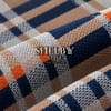 Tartan Inspired 2