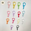Colorful Swivel Clasp D-Shape 4