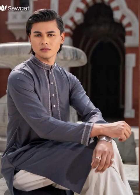 Luxury  Panjabi