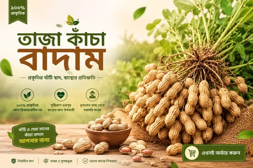 ফ্রেশ দেশি কাঁচা বাদাম | Premium Raw Peanuts | উচ্চমানের কৃষকের সরাসরি সংগ্রহ