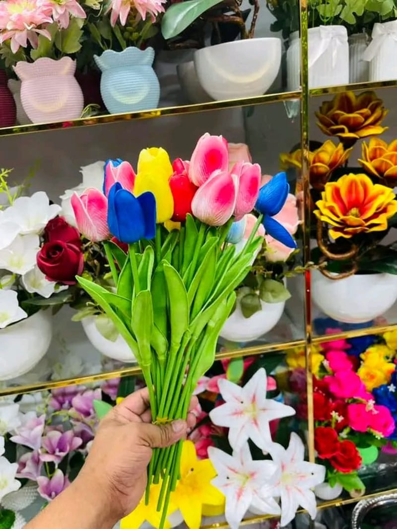 Tulip Flowers 